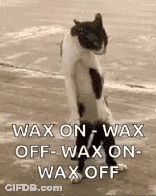 Cat Doing Wax On Wax Off GIF