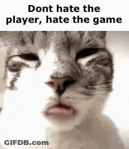 Cat Dont Hate The Player Hate The Game GIF