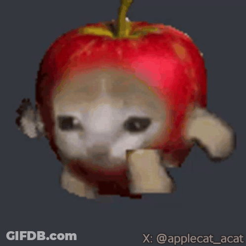 Cat Dressed As Apple Walking GIF