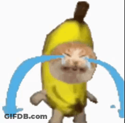 Cat Dressed As Banana Crying With Tears GIF