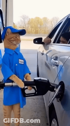 Cat Dressed As Gas Station Worker Pumping Gas GIF