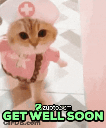 Cat Dressed As Nurse Get Well Soon GIF