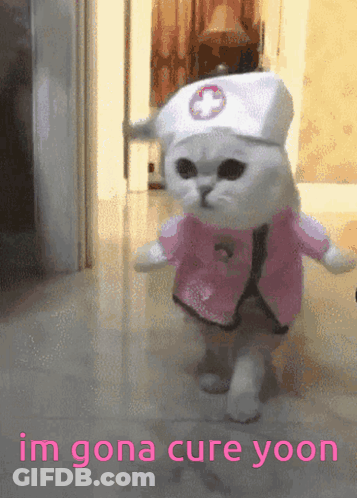 Cat Dressed As Nurse Gonna Cure Yoon GIF