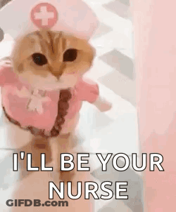 Cat Dressed As Nurse Ill Be Your Nurse GIF
