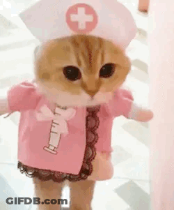 Cat Dressed As Nurse With Syringe GIF