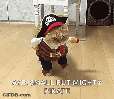 Cat Dressed As Pirate Holding Sword GIF