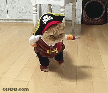 Cat Dressed As Pirate With Sword GIF