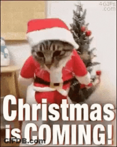 Cat Dressed As Santa Claus Saying Christmas Is Coming GIF