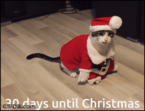 Cat Dressed As Santa Saying 30 Days Until Christmas GIF