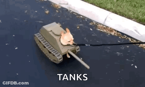 Cat Dressed As Tank On Leash GIF