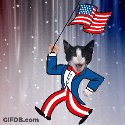 Cat Dressed As Uncle Sam Holding American Flag GIF
