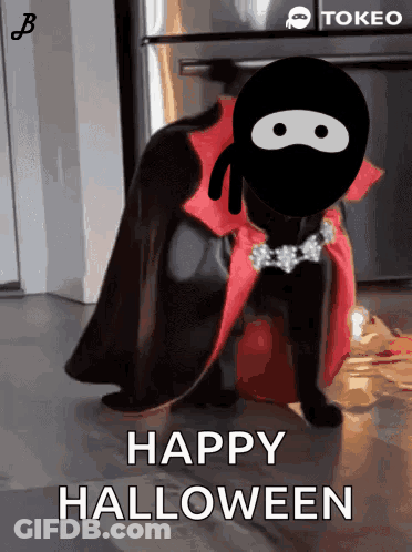 Cat Dressed As Vampire Saying Happy Halloween GIF