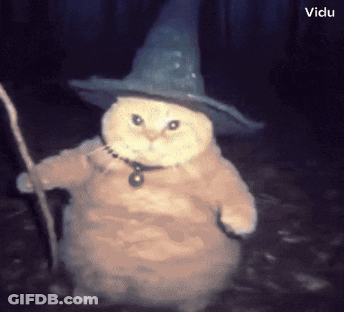 Cat Dressed As Witch With Cane GIF