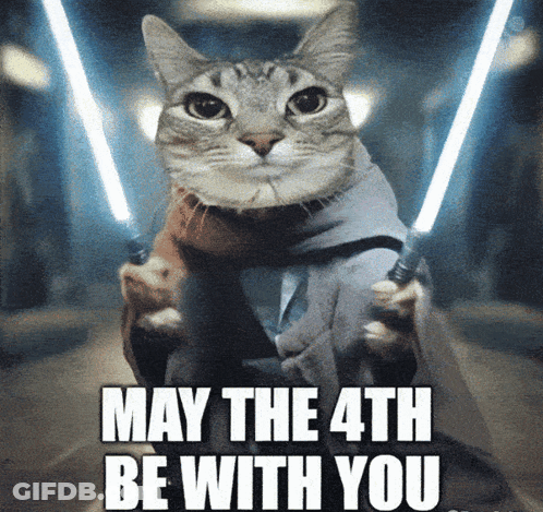 Cat Dressed As Yoda Holding Lightsabers GIF