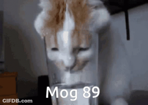 Cat Drinking From Glass With Number 89 GIF
