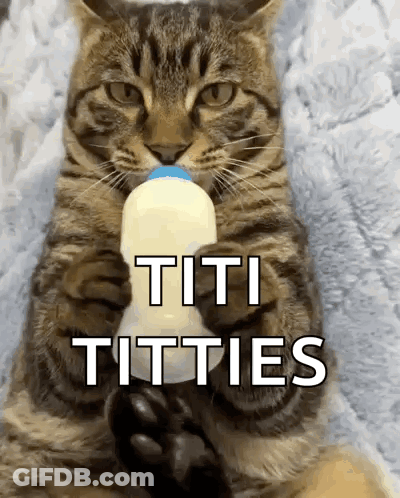 Cat Drinking Milk From Bottle Saying Titi Titties GIF