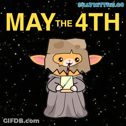 Cat Drinking Through Straw May The 4Th GIF
