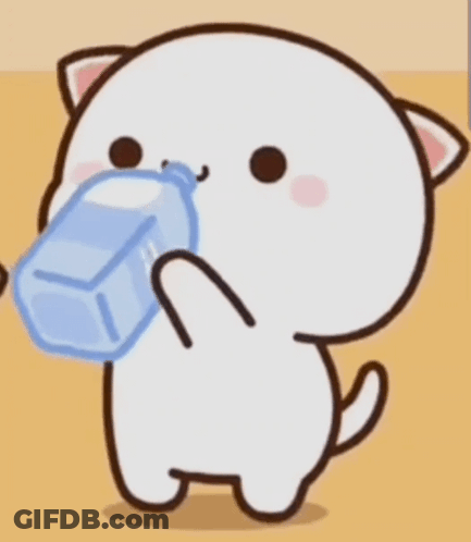 Cat Drinking Water From Bottle GIF