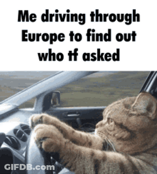 Cat Driving Across Europe GIF