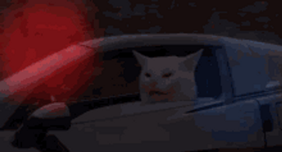 Cat Driving As Police Is Chasing GIF