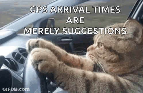Cat Driving Car GPS Arrival Times Are Merely Suggestions GIF