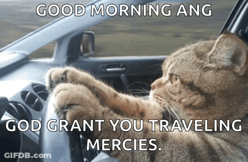 Cat Driving Car Saying Good Morning Ang God Grant You Traveling Mercies GIF