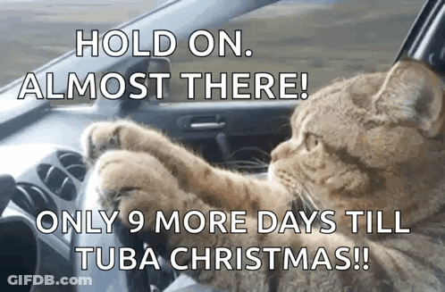 Cat Driving Car Saying Hold On Almost There GIF