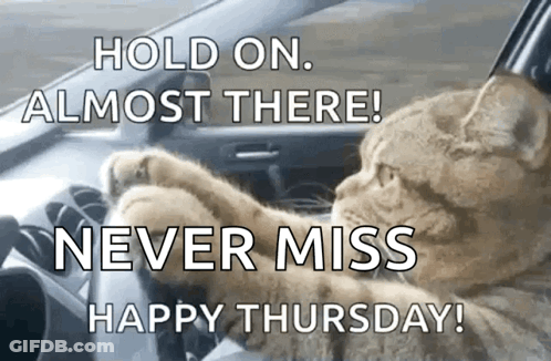 Cat Driving Car Saying Hold On Almost There Happy Thursday GIF