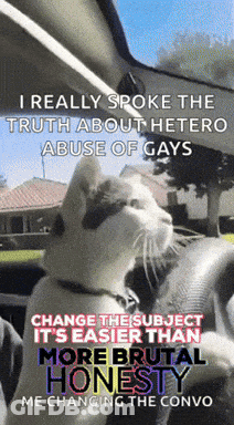 Cat Driving Car Saying I Really Spoke The Truth About Hetero GIF