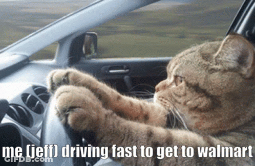 Cat Driving Car Saying Me Jeff Going To Walmart GIF
