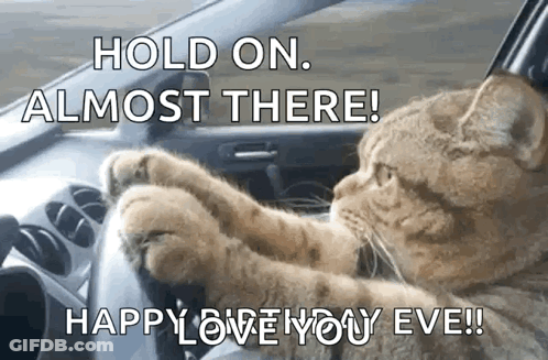 Cat Driving Car Says Hold On Almost There GIF