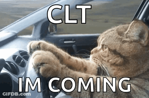 Cat Driving Car With Clt Im Coming GIF