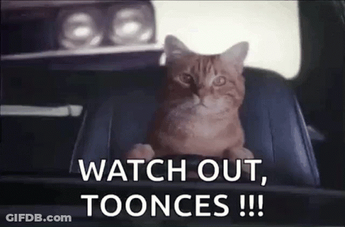 Cat Driving GIF