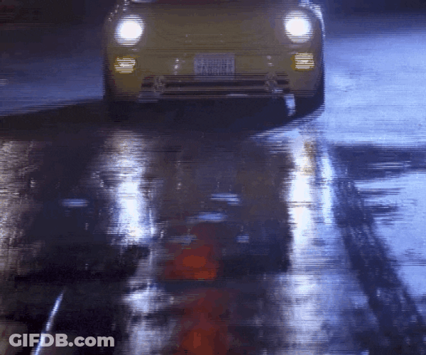 Cat Driving Over Someone GIF