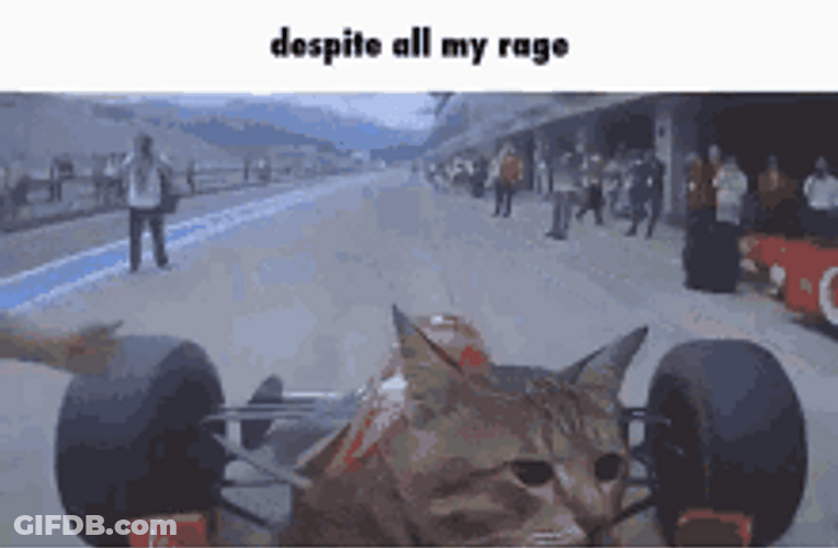 Cat Driving While Thinking Despite My Rage GIF
