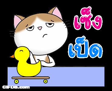 Cat Duckie เซ็ง เปิด GIF
