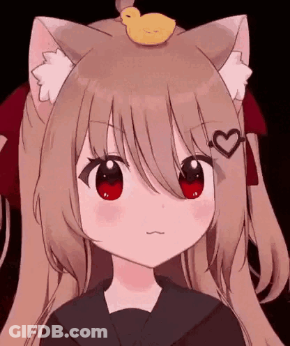 Cat Ears Girl Duck On Head Making Face GIF