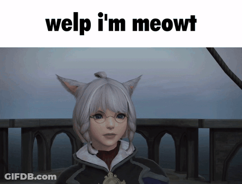 Cat Ears Girl Welp I'm Meowt GIF