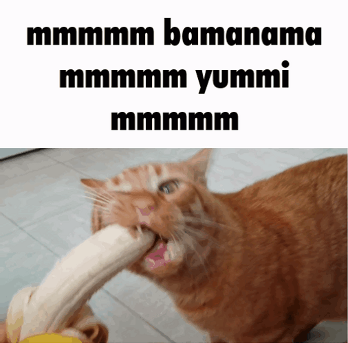 Cat Eating Banana Mmm GIF