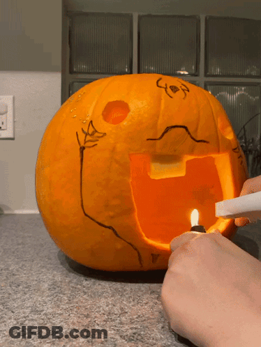 Cat Eating Cat Food GIF