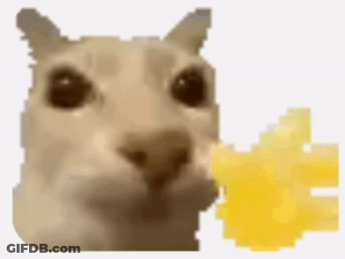 Cat Eating Cheese Close Up GIF