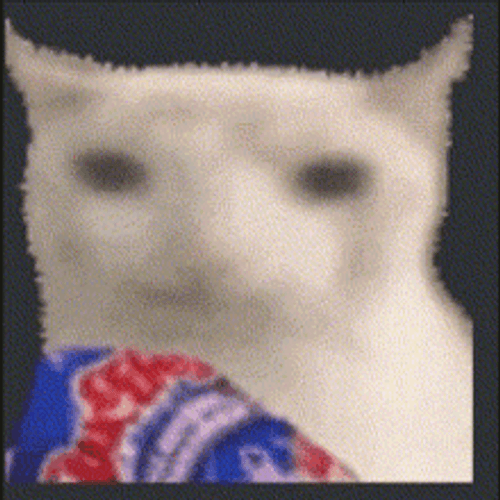 Cat Eating Chip Meme GIF