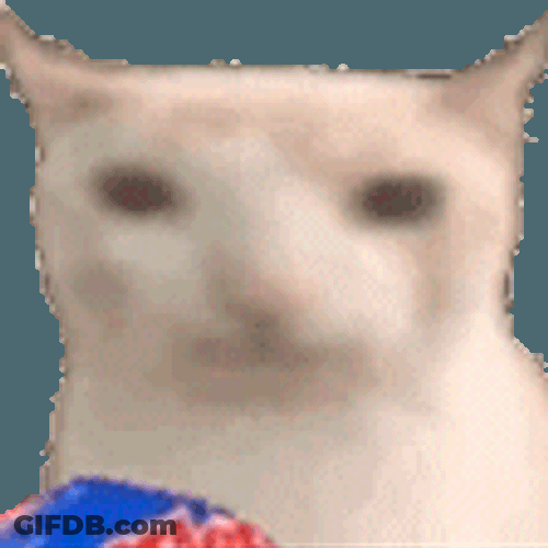 Cat Eating Chips Sticker GIF