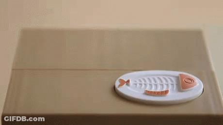 Cat Eating Fish Skeleton On Plate GIF