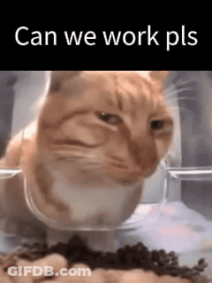 Cat Eating From Bowl Saying Can We Work Pls GIF