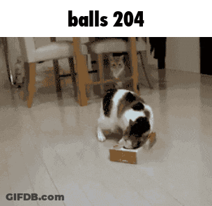 Cat Eating From Cardboard Box GIF