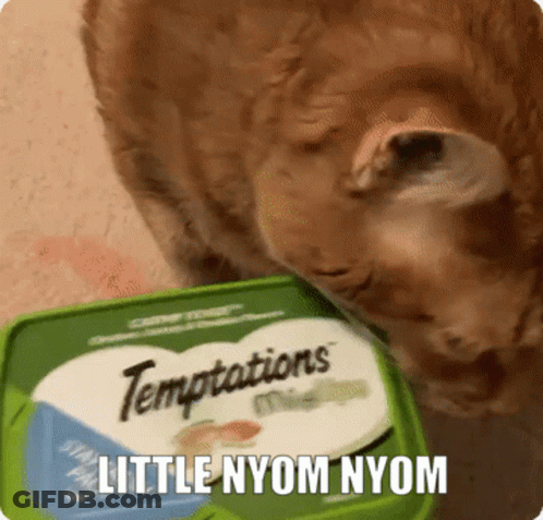 Cat Eating From Green Temptations Container GIF