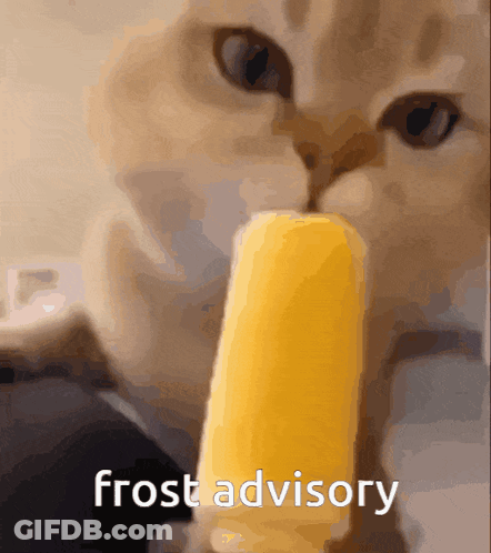 Cat Eating Ice Cream Bar Frost Advisory GIF