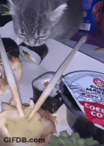Cat Eating Sushi With Chopsticks And Sushi Sauce GIF
