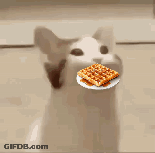 Cat Eating Waffle With Syrup GIF